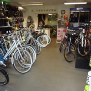 CoinDeck winkel vloer